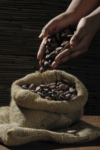 cocoa-beans-499970_640